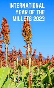 International year of the Millets 2023